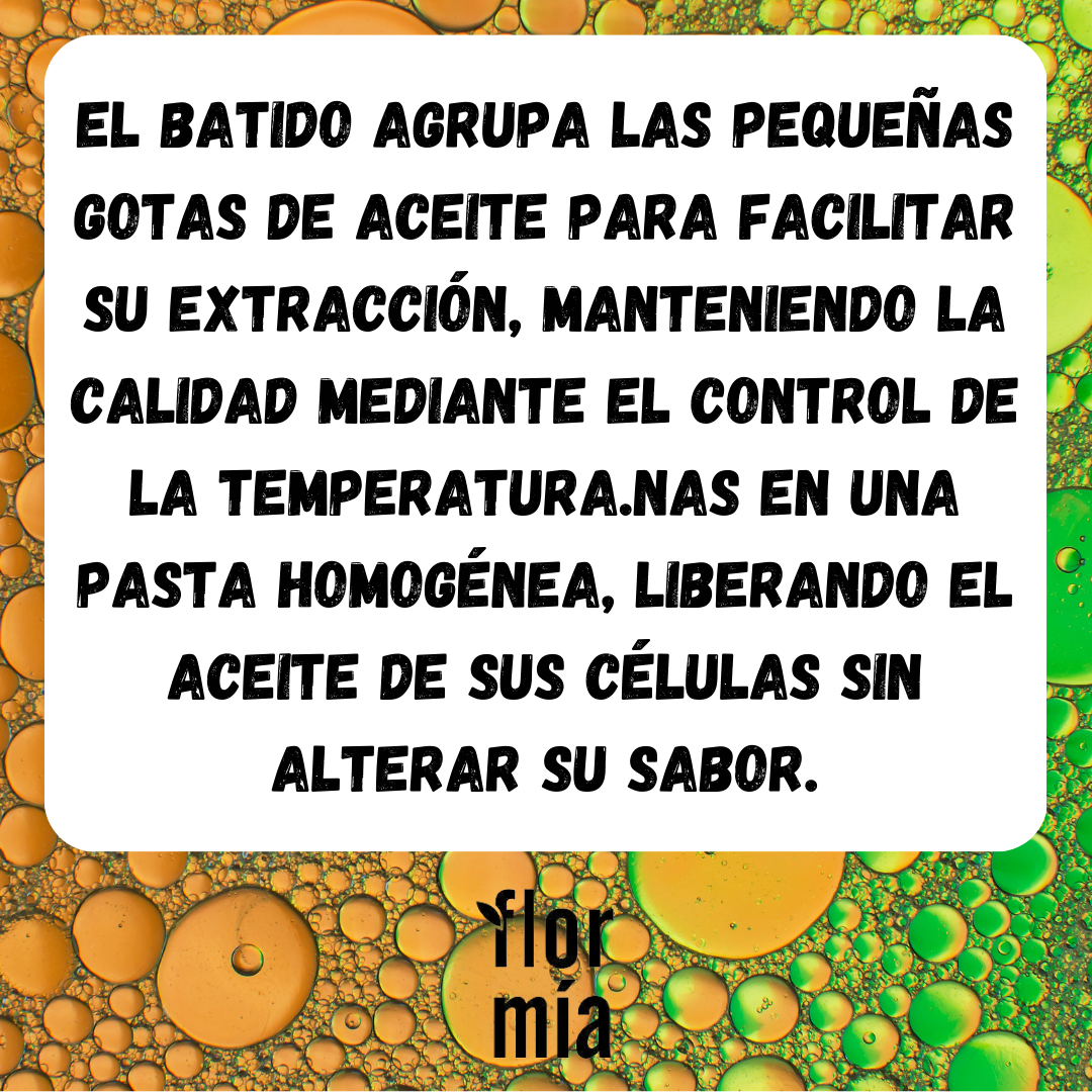 Batido de Olivas para Aceite de Oliva