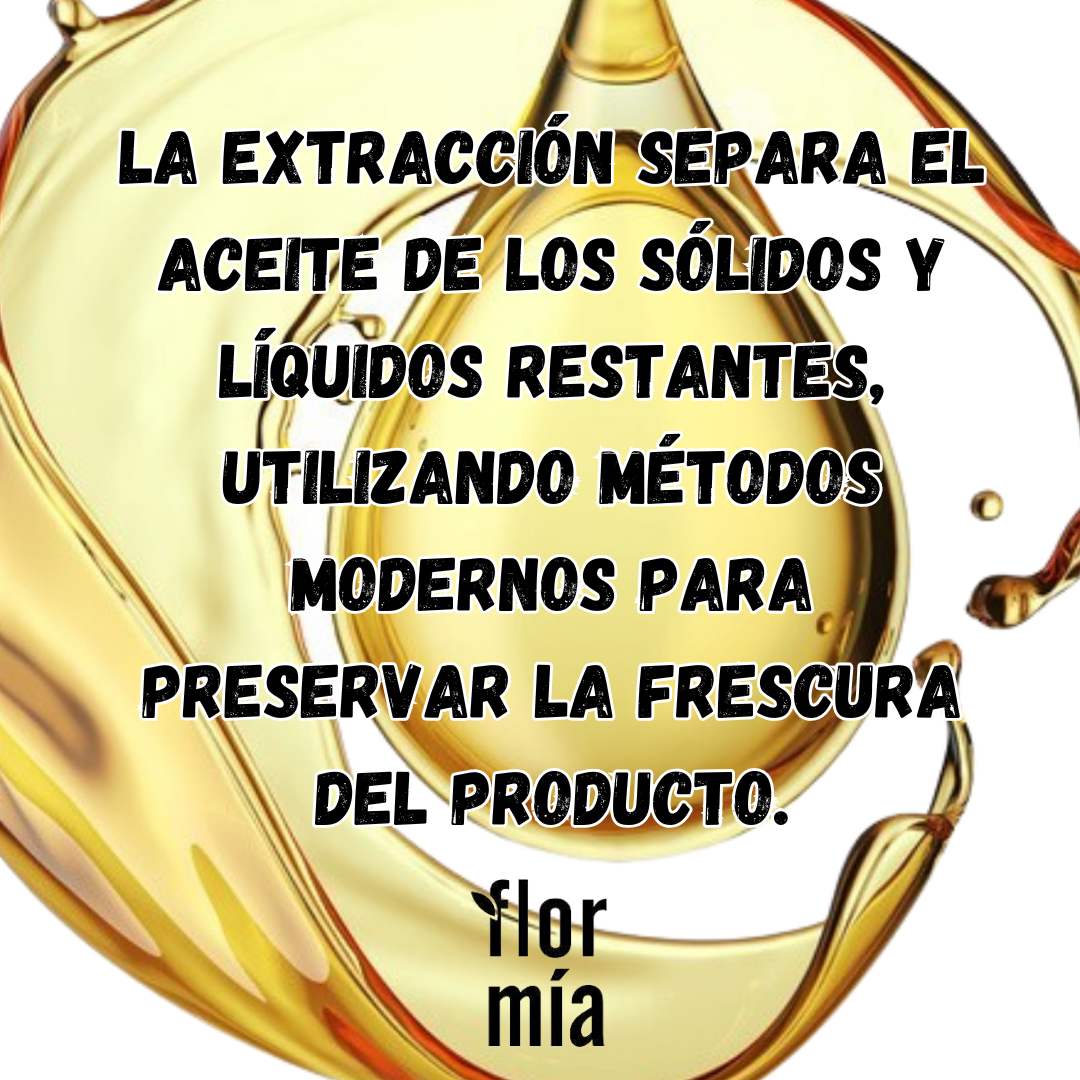 extraccion de aceite de oliva